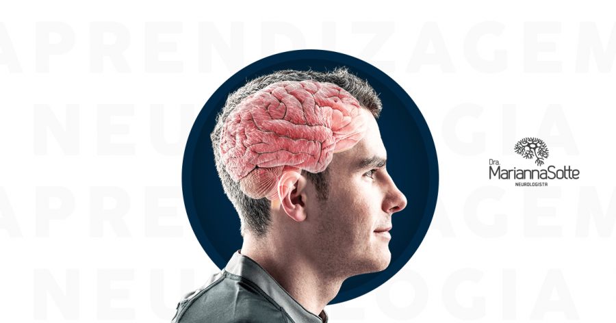 A neurologia e a aprendizagem | Quando recorrer a uma para ajudar a outra?